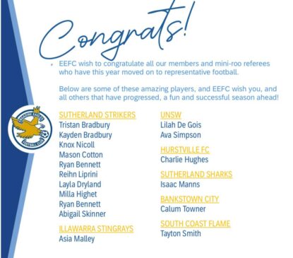 Representative Eagles